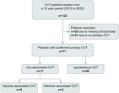 Imaging and clinical outcomes of COVID-19- vs. non-COVID-19-related cerebral venous thrombosis